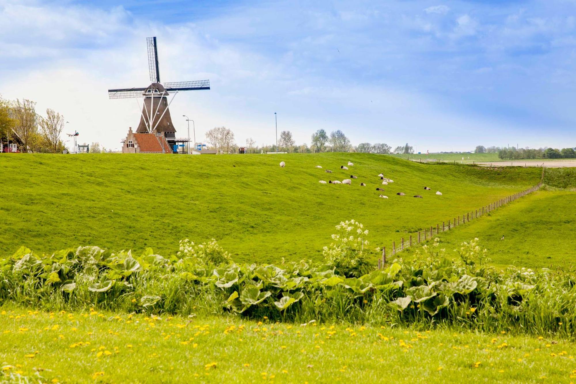 Vakantiehuisje Schelp 5 Personen - Zeezand Recreatie Stolpen Exterior foto